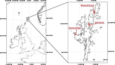 Practical Approaches for Providing Empirical Data on Seabird Behavior and Prey Assemblages in Tidal Channels